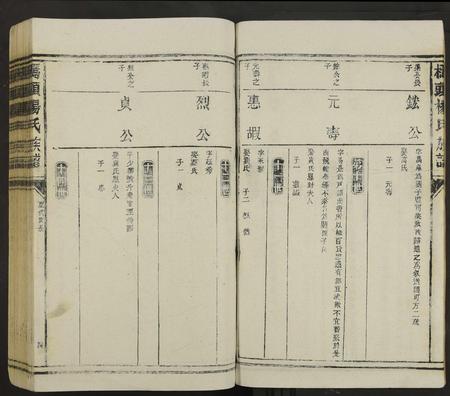 江西杨氏族谱-桥头杨氏族谱 [不分卷].pdf电子版插图4