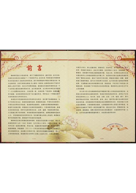 福建林氏族谱-南安枫树林氏第六次续谱告竣庆典…特刊.pdf电子版插图4