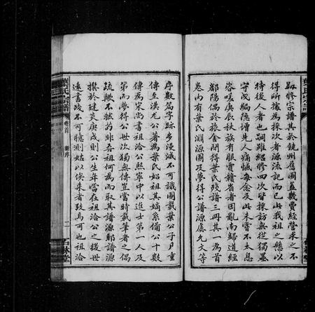 安徽叶氏族谱-叶氏宗谱 [12卷,首末各1卷].pdf电子版插图4