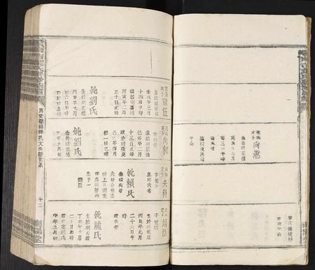 江西叶氏族谱-赣南吉叶氏联修族谱.pdf电子版插图4