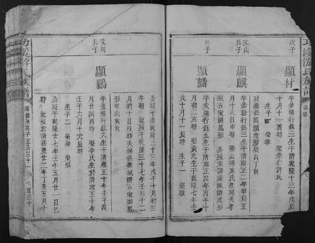 江西游氏族谱-功溪游氏族谱.pdf电子版插图4