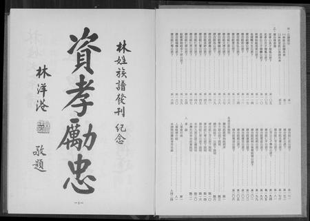 福建林氏族谱-林姓大宗谱.pdf电子版插图4