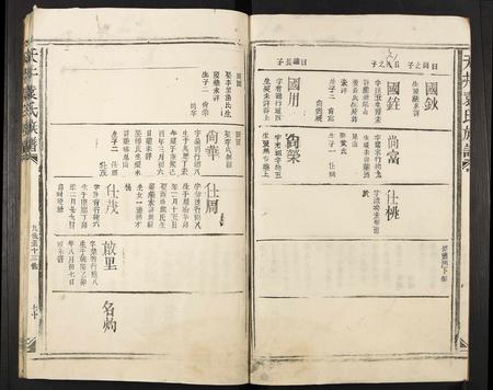 江西袁氏族谱-天井袁氏族谱.pdf电子版插图4
