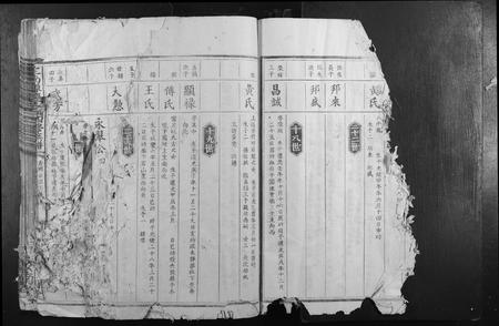 江西袁氏族谱-定南潭庆袁氏四修族谱.pdf电子版插图4