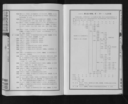 安徽詹氏族谱-中华詹氏统宗谱.pdf电子版插图4