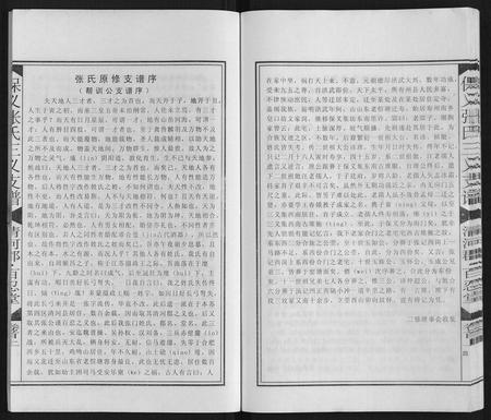安徽张氏族谱-保义张氏三义支谱.pdf电子版插图4