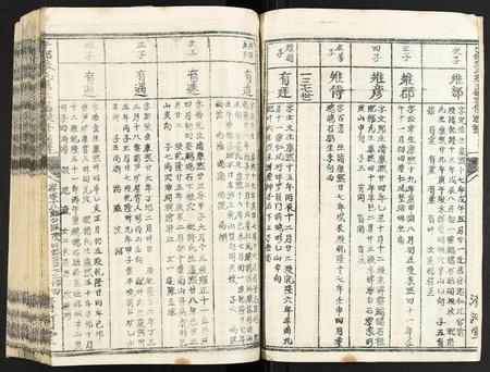 江西张氏族谱-于都张氏第二届联修族谱.pdf电子版插图4