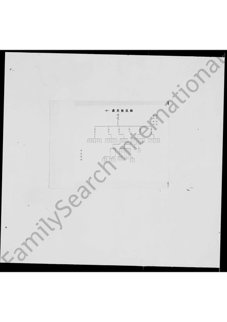 福建林氏族谱-林氏世系表.pdf电子版插图4 福建林氏族谱-林氏世系表.pdf电子版插图4