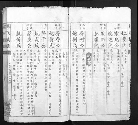 江西张氏族谱-张氏族谱.pdf电子版插图4