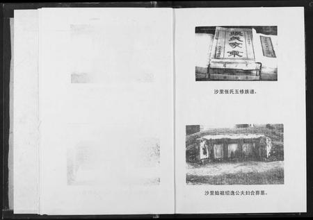 江西张氏族谱-沙里张氏族谱.pdf电子版插图4