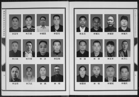 福建林氏族谱-沟西林氏宗谱大坪林氏支谱[全册].pdf电子版插图4