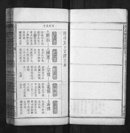 安徽朱氏族谱-朱氏瑛股宗谱.pdf电子版插图4