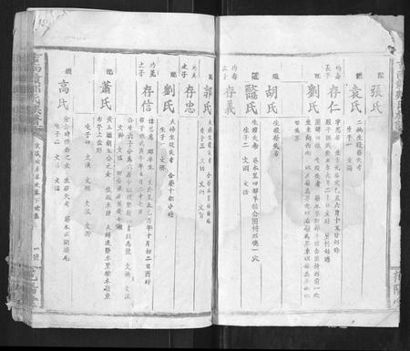 江西邹氏族谱-吉南赣邹氏族谱[不分卷].pdf电子版插图4