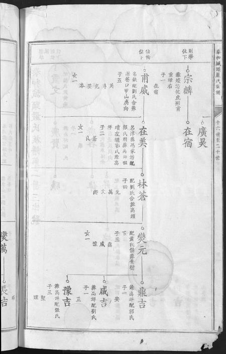 江西严氏族谱-泰和城头严氏族谱 [卷数不详].pdf电子版插图4