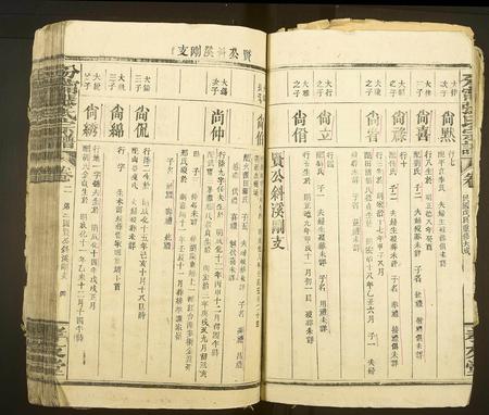 江西张氏族谱-分甯张氏宗谱[卷数不详].pdf电子版插图4