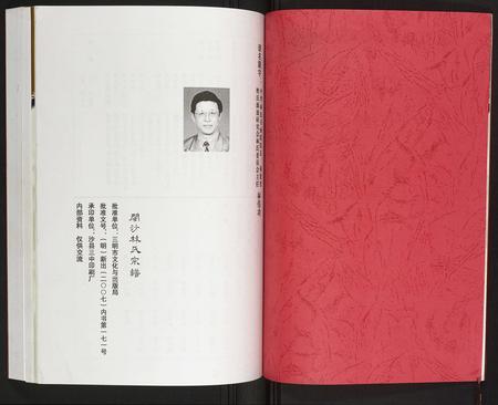 福建林氏族谱-闽沙林氏宗谱.pdf电子版插图4