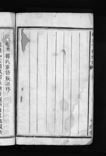 江西杨氏族谱-杨氏重修族谱 [不分卷].pdf电子版插图4