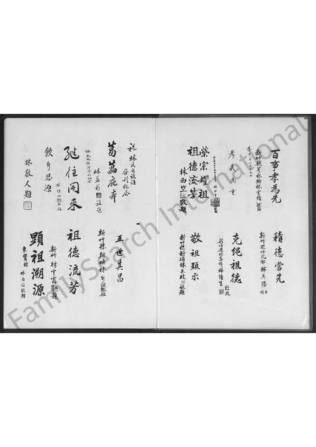 福建林氏族谱-安溪新春林氏大族谱 [不分卷].pdf电子版插图4