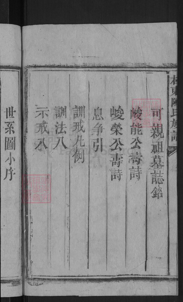 湖南省郴州市桂东县大塘镇陈氏颕川堂族谱-陈氏族谱.pdf电子版插图4