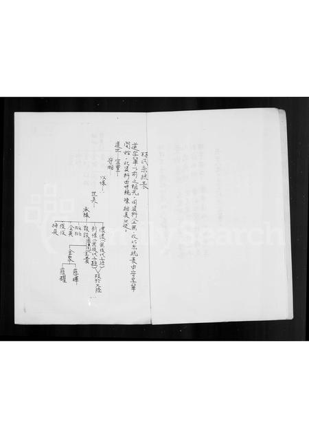 福建林氏族谱-林氏族谱.pdf电子版插图4 福建林氏族谱-林氏族谱.pdf电子版插图4