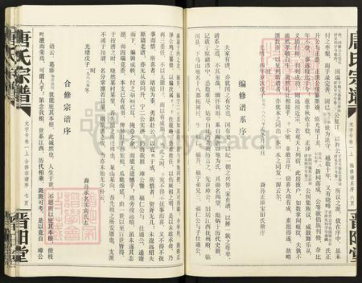 湖北省仙桃市唐氏晋阳堂族谱-唐氏宗谱.pdf电子版插图4