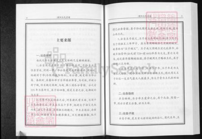 河南省濮阳市华龙区王氏族谱-濮阳王氏宗谱.pdf电子版插图4