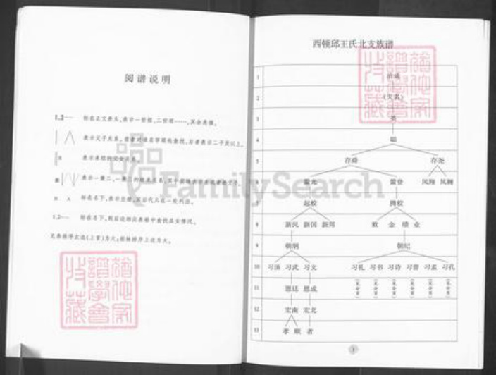 山东省济南市历城区王氏族谱-西顿邱王氏北支族谱.pdf电子版插图4