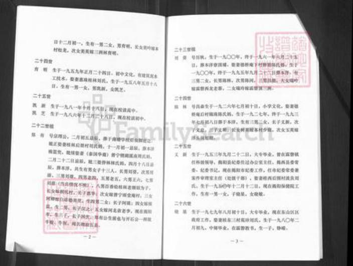 广东省揭阳市揭东区霖磐镇王氏族谱-王氏族谱.开石公世系.pdf电子版插图4 广东省揭阳市揭东区霖磐镇王氏族谱-王氏族谱.开石公世系.pdf电子版插图4