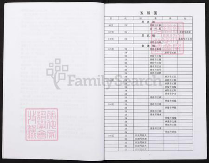 重庆市綦江区王氏族谱-滥田嘴王氏族谱副刊本.pdf电子版插图4