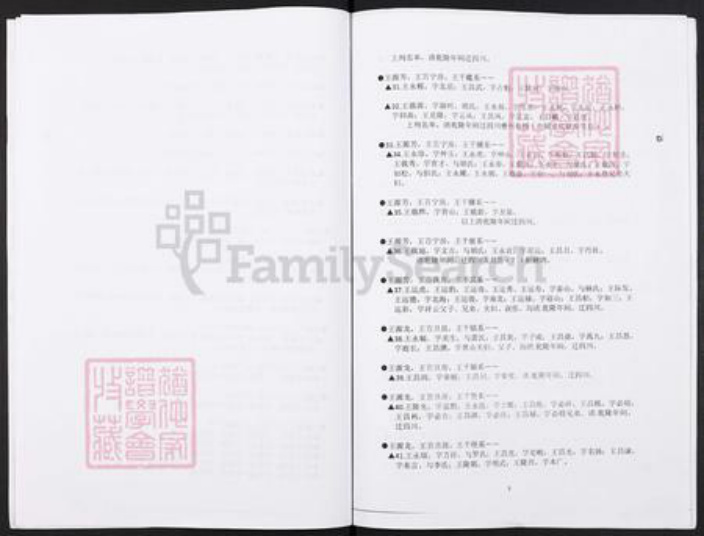 湖南省娄底市双峰县王氏族谱-湖南省双峰县同德王氏湖广填四川名单.pdf电子版插图4