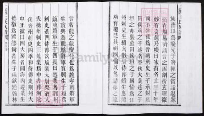 湖南省郴州市宜章县里田镇王氏族谱-湖南宜章县上渡王氏族谱.pdf电子版插图4 湖南省郴州市宜章县里田镇王氏族谱-湖南宜章县上渡王氏族谱.pdf电子版插图4