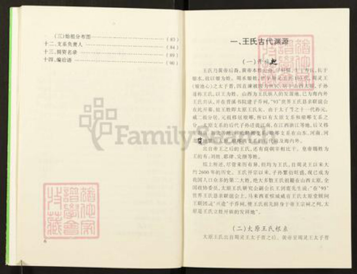 重庆市南川区南平镇王氏族谱-王家入川胡家(土党)支系祖德流芳.pdf电子版插图4
