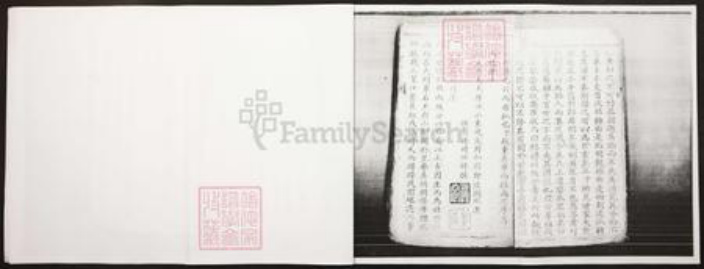 四川省泸州市江阳区王氏族谱-王氏家谱.pdf电子版插图4