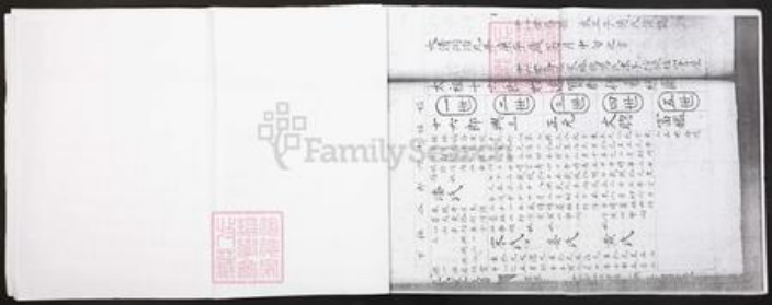 湖南省邵阳市武冈市王氏族谱-王氏重修族谱.pdf电子版插图4