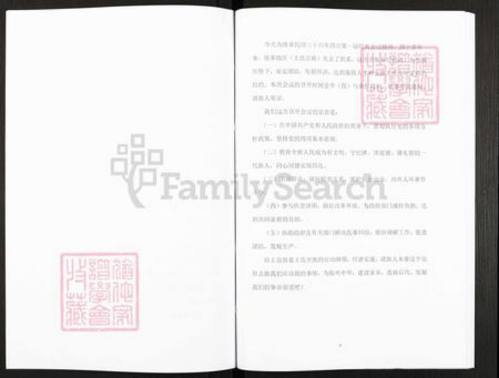 安徽省淮南市潘集区平圩镇王氏三槐堂族谱-王氏宗谱.pdf电子版插图4