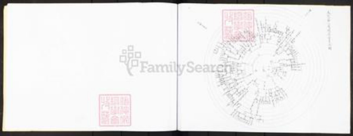 广东省广州市番禺区沙湾镇王氏族谱-番禺县沙湾乡王姓支派图.pdf电子版插图4