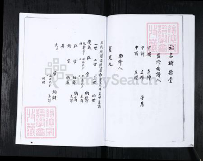 山东省青岛市崂山区王氏族谱-书院社区王氏族谱.pdf电子版插图4