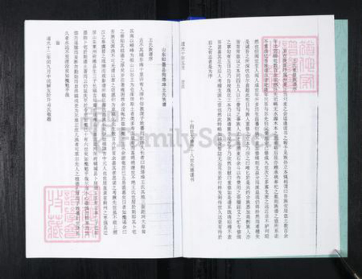 山东省青岛市王氏族谱-流亭红端口村王氏族谱.pdf电子版插图4