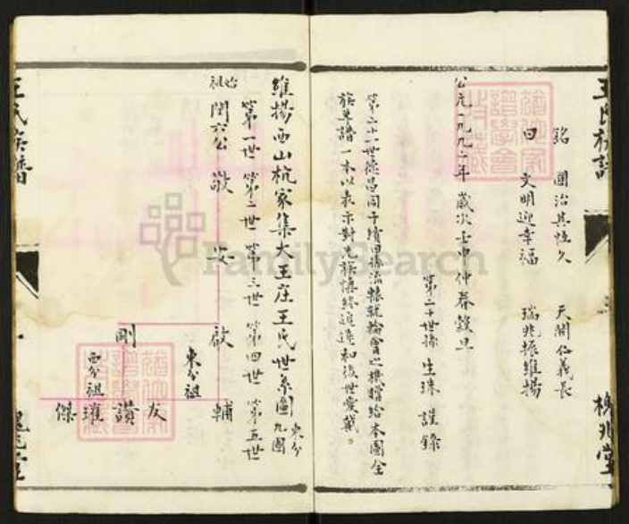 江苏省扬州市仪征市大仪镇王氏槐兆堂族谱-王氏族谱.pdf电子版插图4