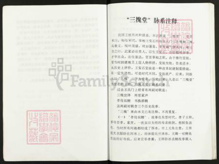 江苏省扬州市高邮市王氏三槐堂族谱-王氏本支家谱.pdf电子版插图4 江苏省扬州市高邮市王氏三槐堂族谱-王氏本支家谱.pdf电子版插图4