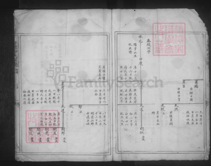 浙江省宁波市奉化区印氏族谱-甘里印氏宗谱.pdf电子版插图4