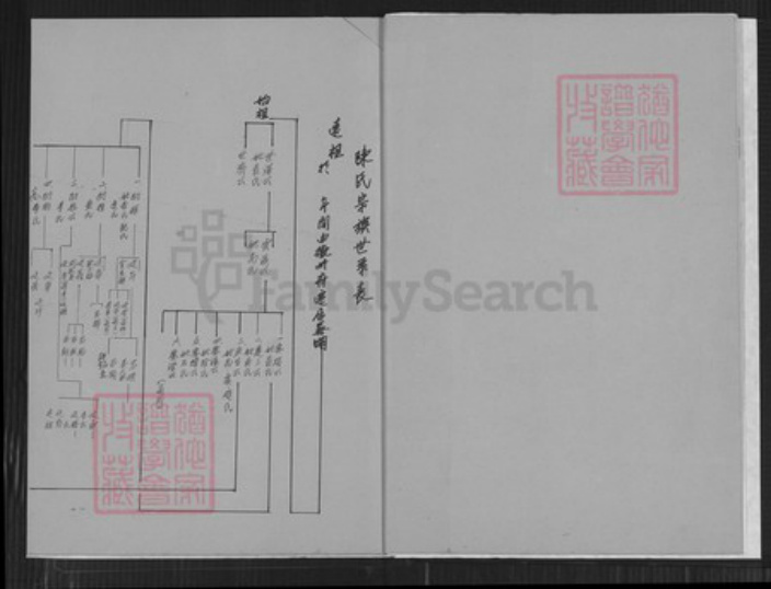 安徽省芜湖市陈氏务滋堂族谱-陈务滋堂家谱世系表.pdf电子版插图4