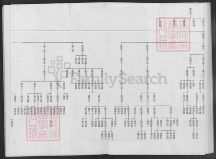 台湾台北市文山区陈氏族谱-陈志抱派下谱系世系表.pdf电子版插图4