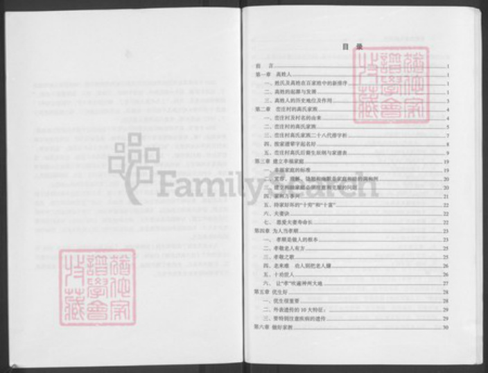 河南省开封市祥符区杜良乡高氏族谱-峦庄高氏家谱.pdf电子版插图4