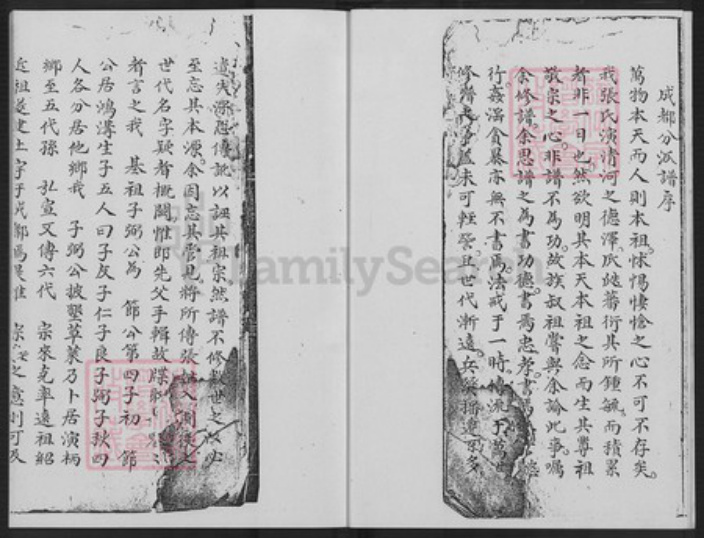 福建省漳州市长泰县枋洋镇张氏清河堂族谱-演柄张氏族谱.pdf电子版插图4 福建省漳州市长泰县枋洋镇张氏清河堂族谱-演柄张氏族谱.pdf电子版插图4