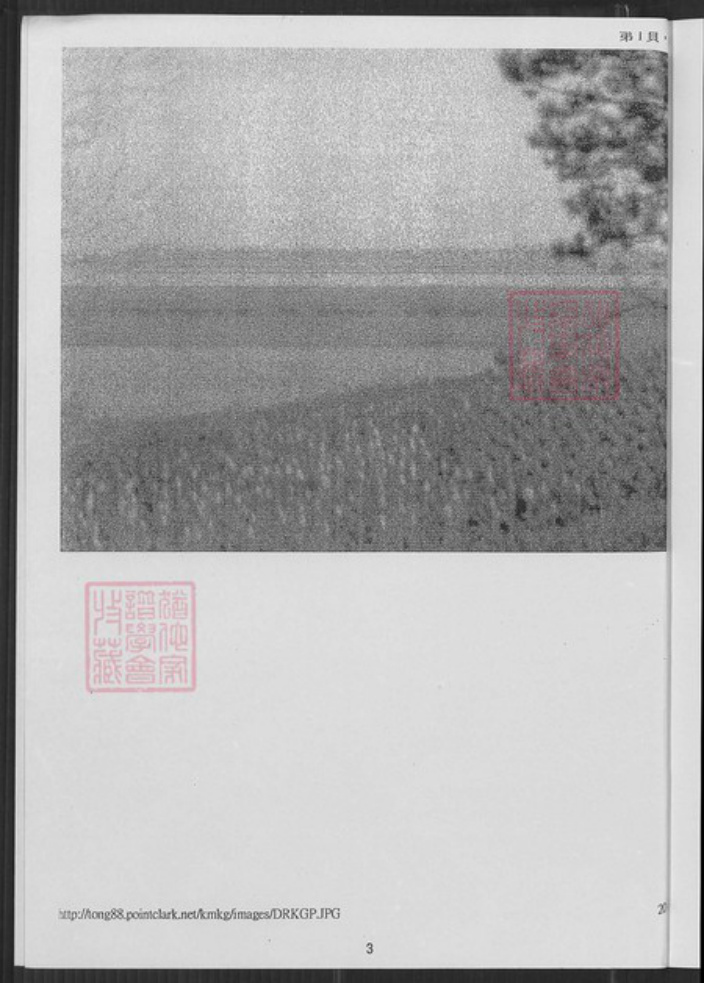 福建省泉州市金门县金城董氏族谱-金门古岗董氏家谱.开浯浒兴二世祖长房小社潭仔墘柱.pdf电子版插图4