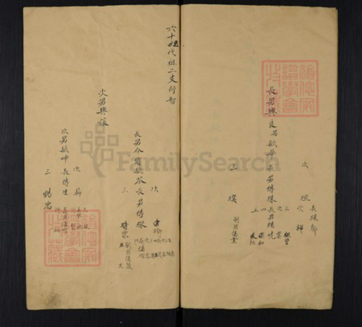 山东省济南市长清区文昌街道孟氏族谱-Missing Title.pdf电子版插图4