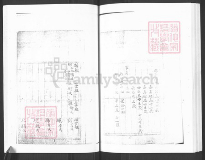 山东省烟台市栖霞市王氏族谱-栖霞王氏族谱.pdf电子版预览图4