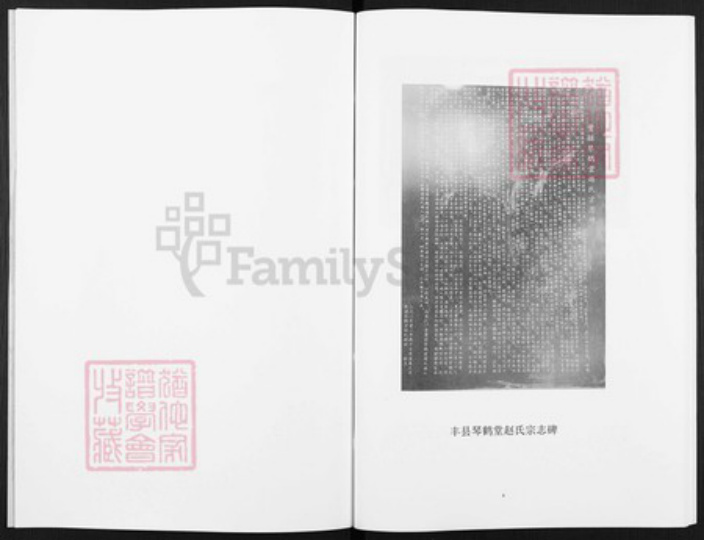 江苏省徐州市丰县江苏省徐州市丰县欢口镇赵；赵氏琴鹤堂族谱-古丰赵氏家谱.pdf电子版插图4