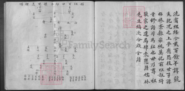 福建省李氏族谱-李氏族谱.pdf电子版插图4